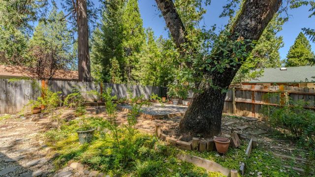 5539 Daisy Dr, Pollock Pines, CA 95726