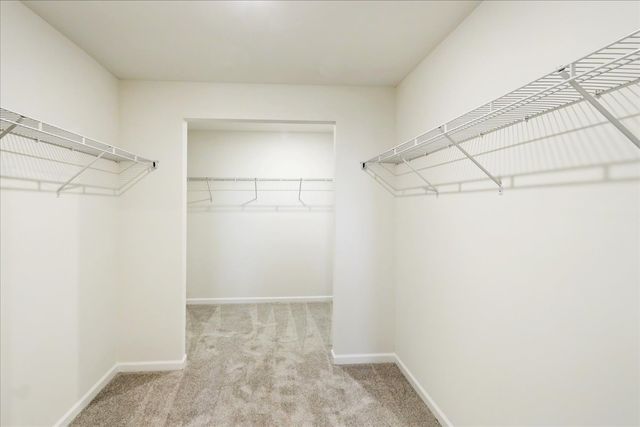 608 Switchgrass Way 61003, Bolingbrook, IL 60490