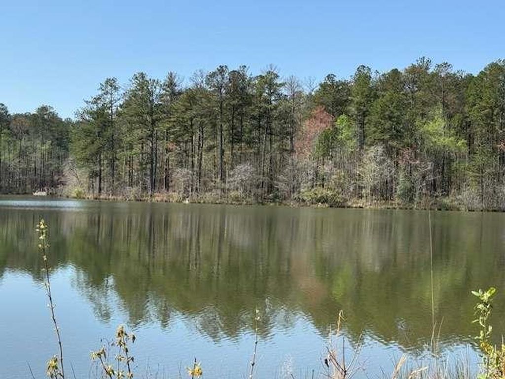 0 Pierce Chapel Road, Newnan, GA 30263