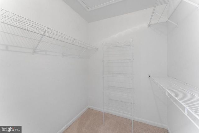 824 PERSIMMON PL, Culpeper, VA 22701