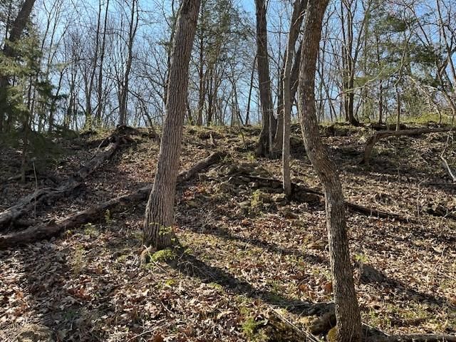 0005 Vermont Road, Rantoul, KS 66079