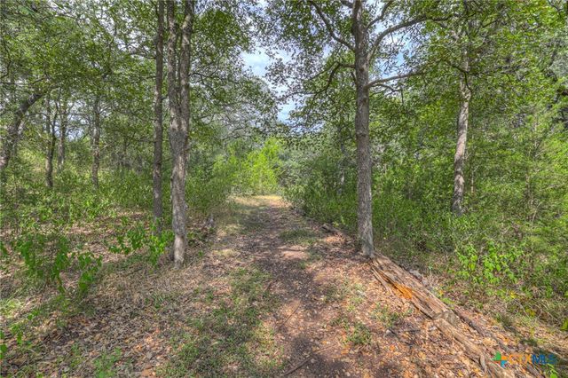 921 Santa Cruz, New Braunfels, TX 78132
