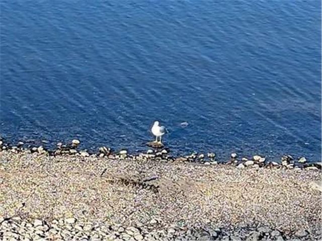 602 S Oak Street, Lake City, MN 55041