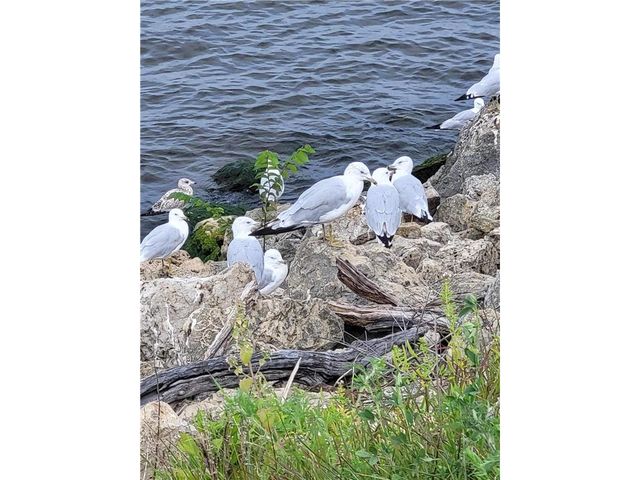 602 S Oak Street, Lake City, MN 55041