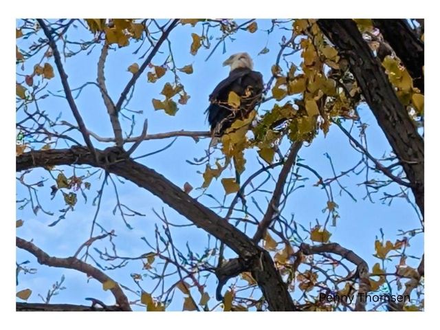 602 S Oak Street, Lake City, MN 55041