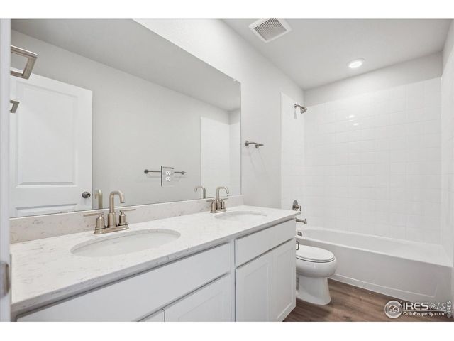 910 Hummocky Way, Windsor, CO 80550