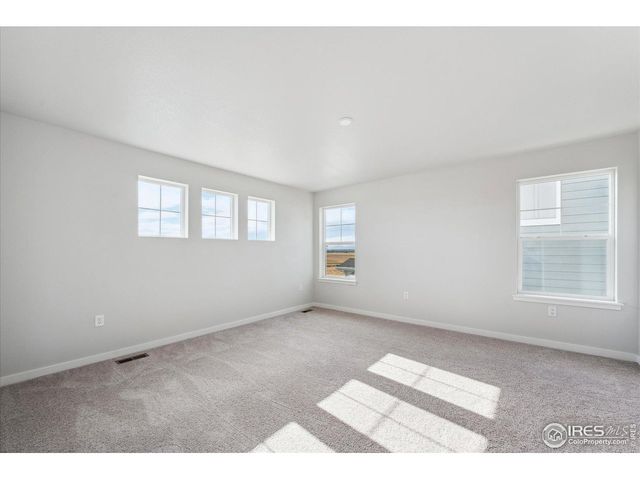 910 Hummocky Way, Windsor, CO 80550