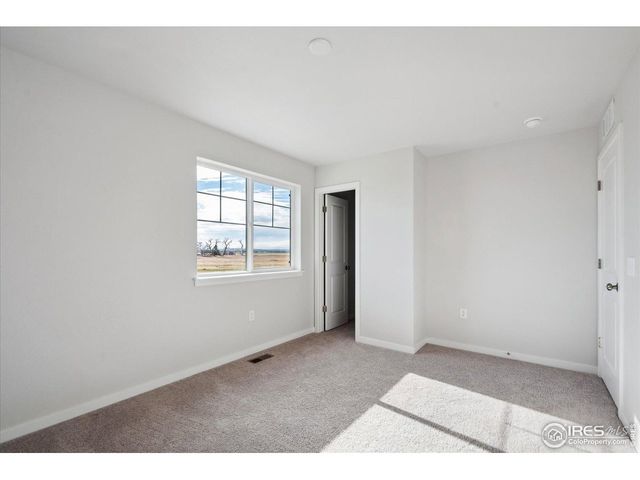 910 Hummocky Way, Windsor, CO 80550