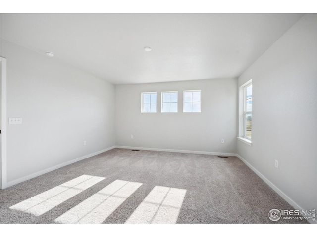 910 Hummocky Way, Windsor, CO 80550