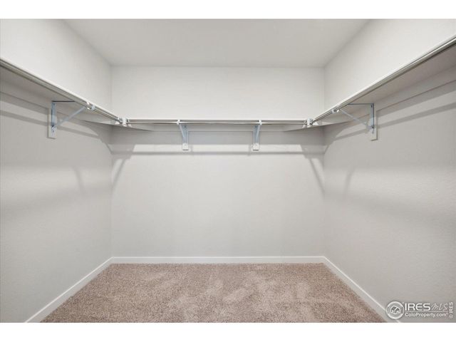 910 Hummocky Way, Windsor, CO 80550