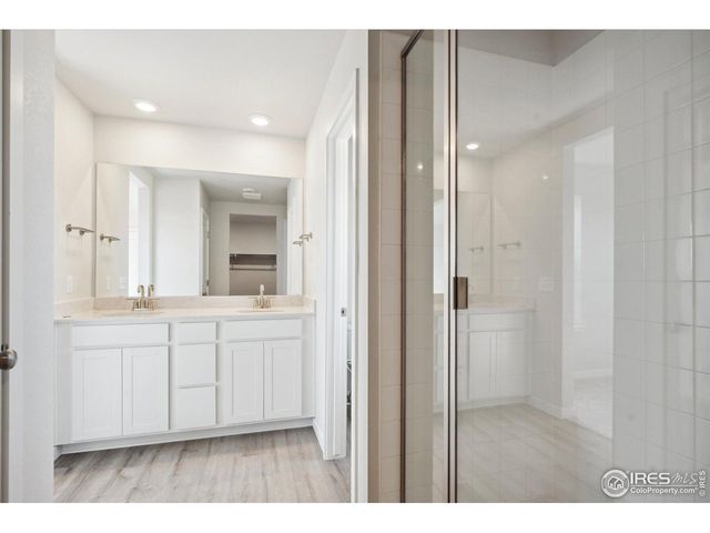 910 Hummocky Way, Windsor, CO 80550