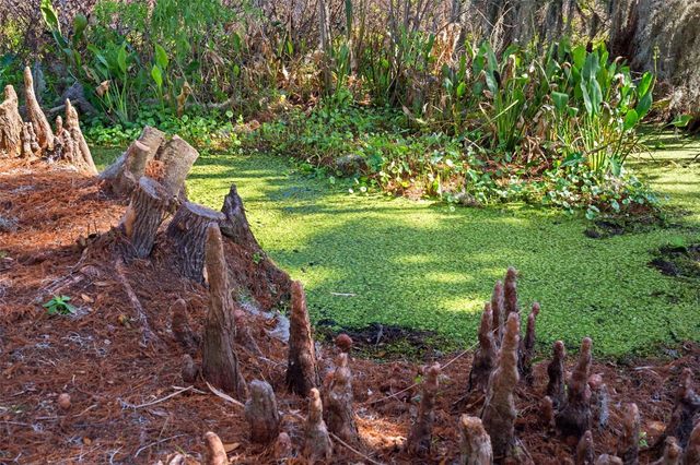 4300 TIMBERLANE ROAD, Lake Wales, FL 33898