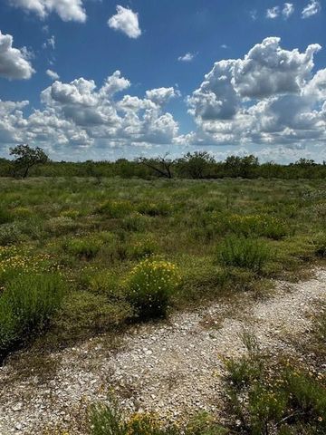 Lot 2 County Road 420, Waelder, TX 78959