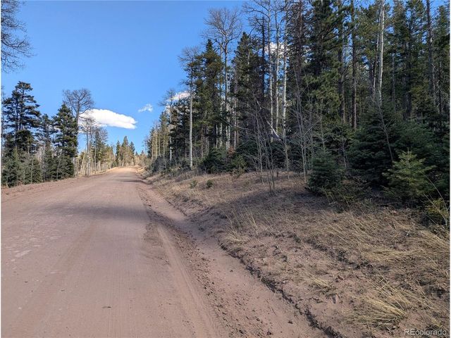 2452 Petito Dr, Fort Garland, CO 81133