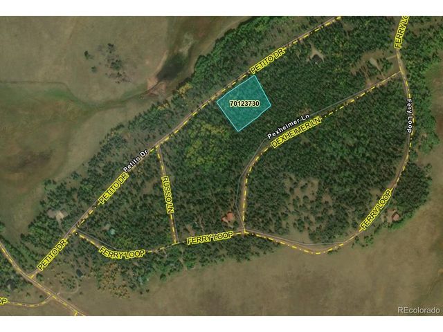 2452 Petito Dr, Fort Garland, CO 81133
