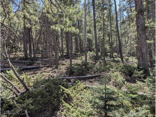 2452 Petito Dr, Fort Garland, CO 81133