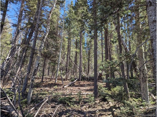 2452 Petito Dr, Fort Garland, CO 81133