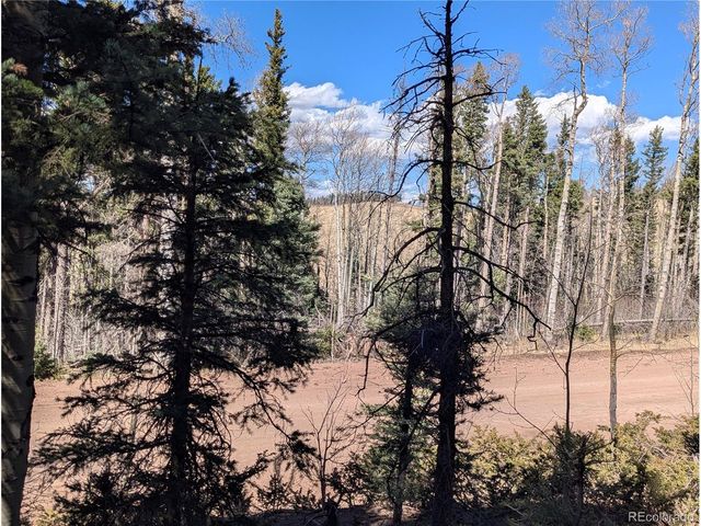 2452 Petito Dr, Fort Garland, CO 81133