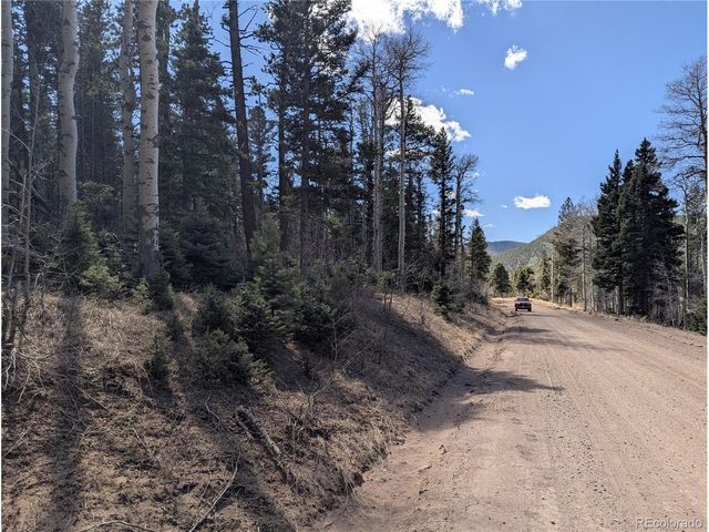 2452 Petito Dr, Fort Garland, CO 81133