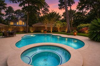 19 Heather Wisp Place, The Woodlands, TX 77381