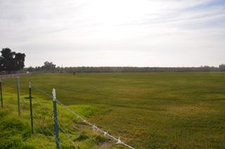13401 Ave 328 Lot #3, Visalia, CA 93292