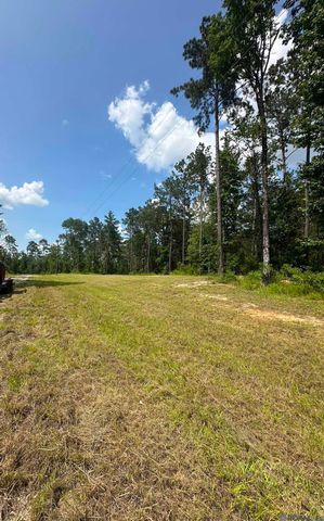9139 Peterson Rd, St Francisville, LA 70775