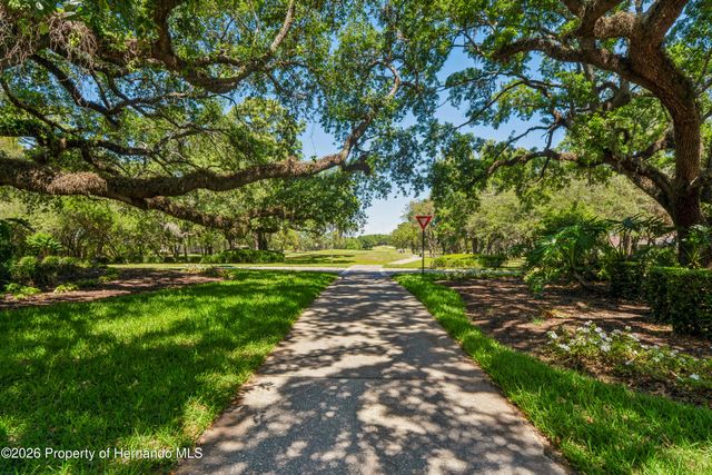 14439 Middle Fairway Drive, Spring Hill, FL 34609