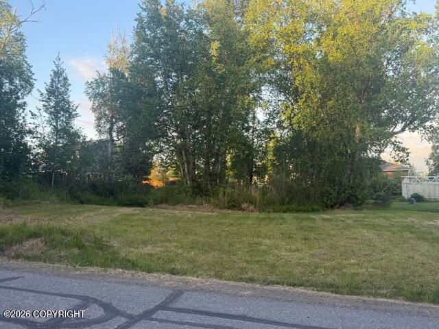 6691 W Leopold Loop, Wasilla, AK 99623