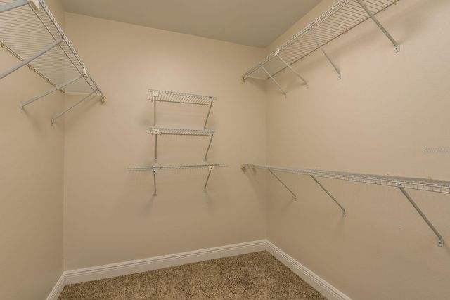 3404 BRIAN ROAD S, Palm Harbor, FL 34685