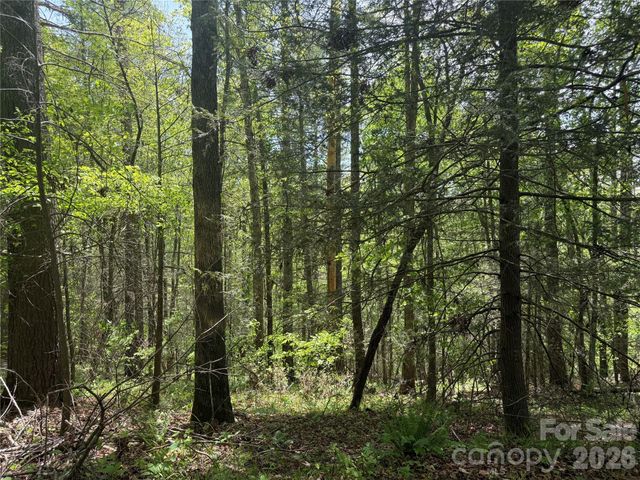 242 area Radford Road 3, Mars Hill, NC 28754