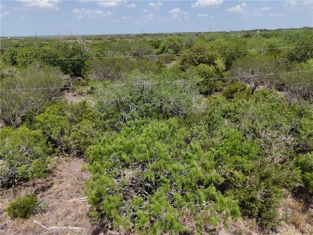 134 County Road 3032, Orange Grove, TX 78372