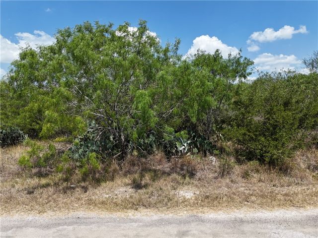 134 County Road 3032, Orange Grove, TX 78372