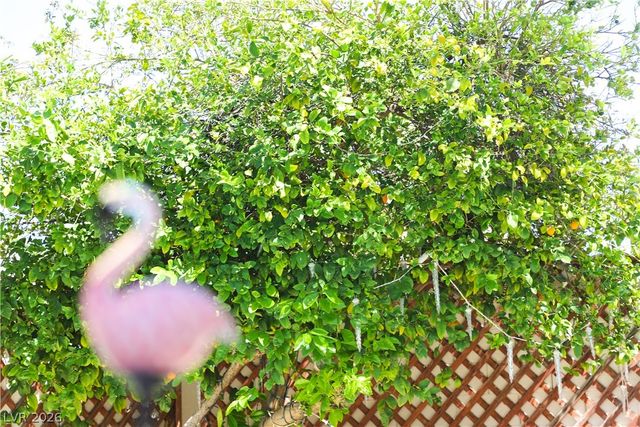 133 Coventry Circle, Henderson, NV 89074