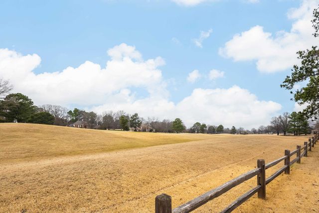 10281 PEYTON PATH CV, Collierville, TN 38017