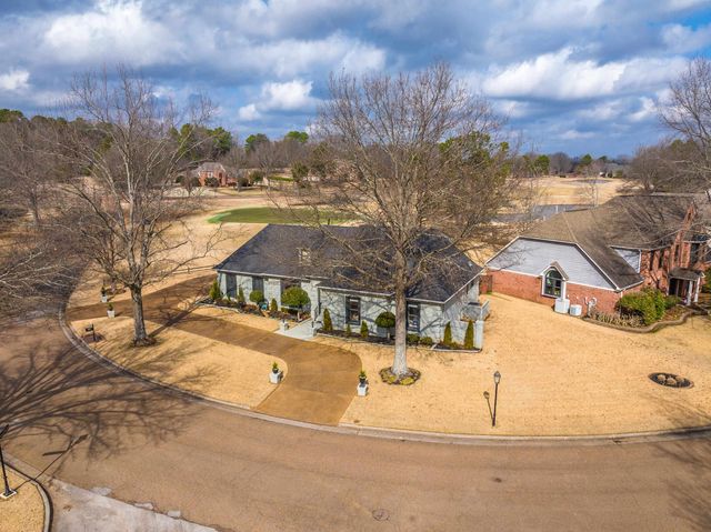 10281 PEYTON PATH CV, Collierville, TN 38017