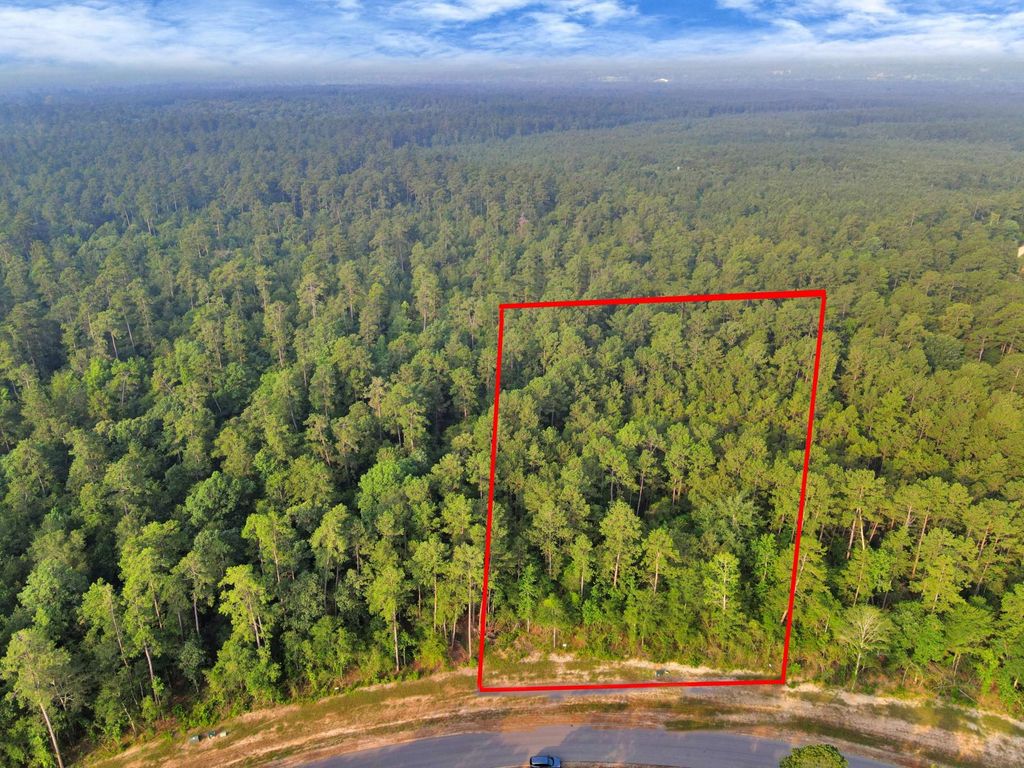 15365 Red Hawk Road, Willis, TX 77378