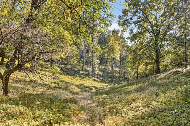 22080 Fiddletown Rd, Volcano, CA 95689