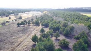 CR 656 County Road 656, Farmersville, TX 75442