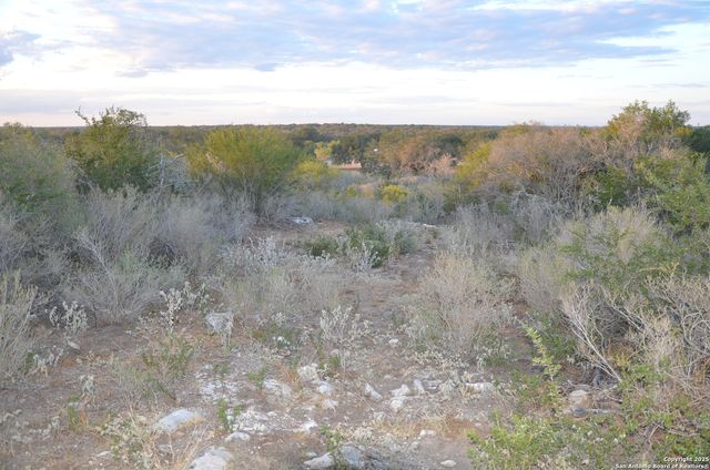 1219 County Road 761, Devine, TX 78016