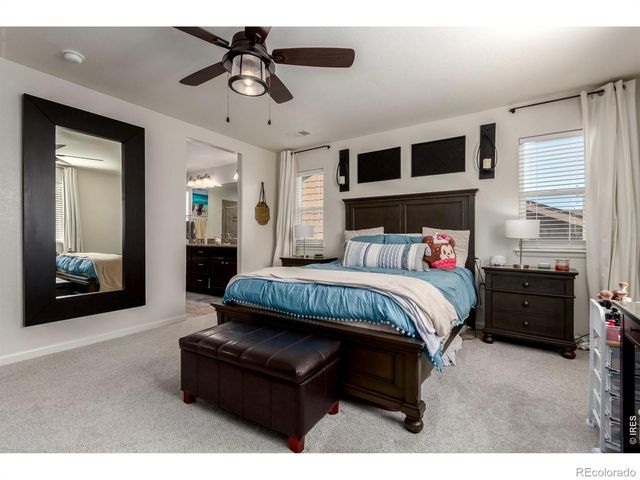 7132 Bandit Drive, Castle Rock, CO 80108