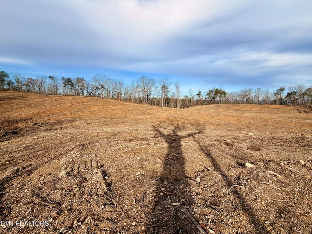 Laurel Bluff Rd, Kingston, TN 37763