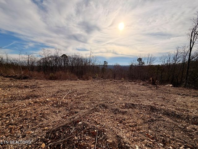 Laurel Bluff Rd, Kingston, TN 37763