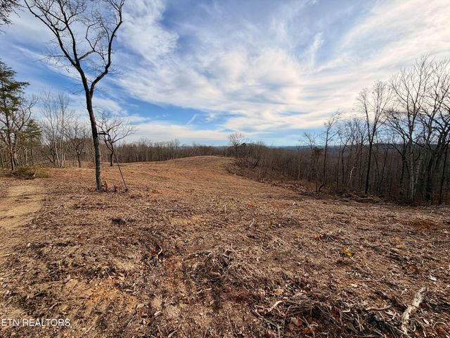 Laurel Bluff Rd, Kingston, TN 37763
