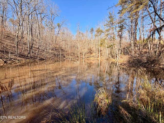 Laurel Bluff Rd, Kingston, TN 37763