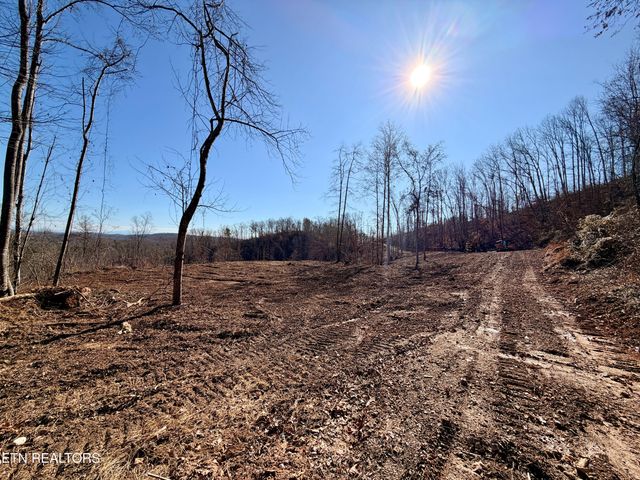 Laurel Bluff Rd, Kingston, TN 37763