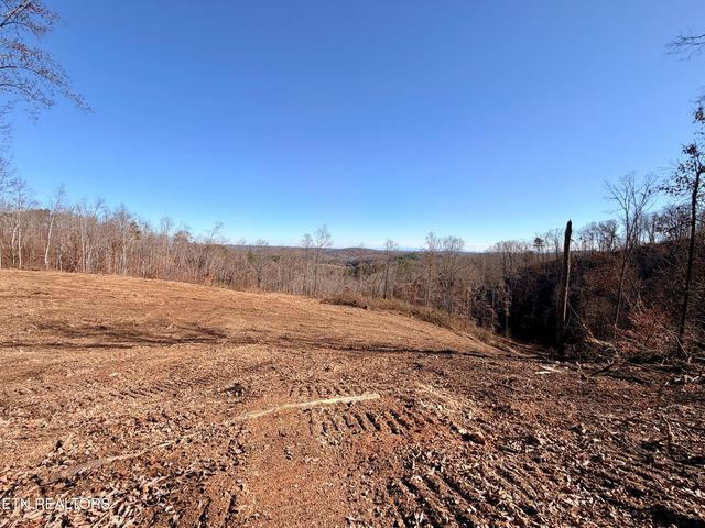 Laurel Bluff Rd, Kingston, TN 37763