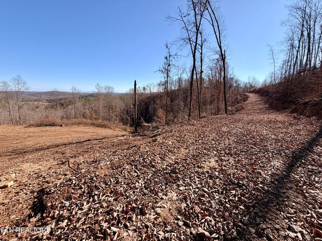 Laurel Bluff Rd, Kingston, TN 37763