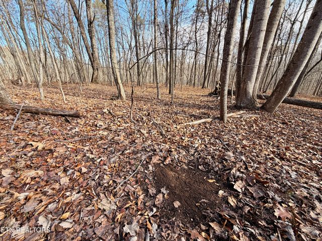 Laurel Bluff Rd, Kingston, TN 37763