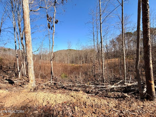 Laurel Bluff Rd, Kingston, TN 37763