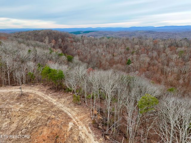 Laurel Bluff Rd, Kingston, TN 37763